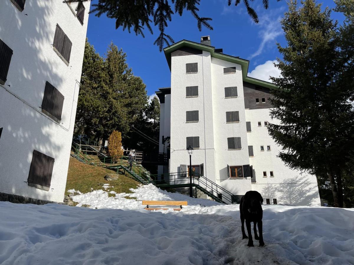 Izas - Pirineos360 - Practico Y Sencillo - Perfecto Para Esquiadores Formigal Εξωτερικό φωτογραφία